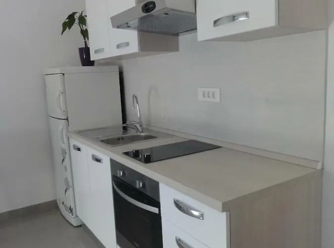 罗尼公寓 扎达尔